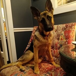 Meet your Posher, Lindsay